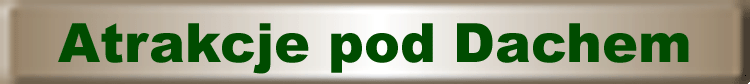 atrakcje pod dachem