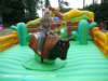 photo39_small.jpg