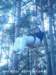 photo9_small.jpg