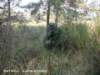 photo15_small.jpg