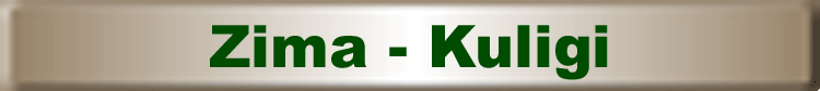 Kuligi