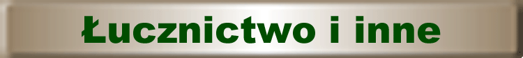 lucznictwo