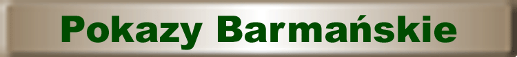 pokazy barmaskie