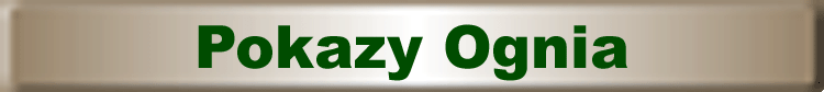 pokazy ognia